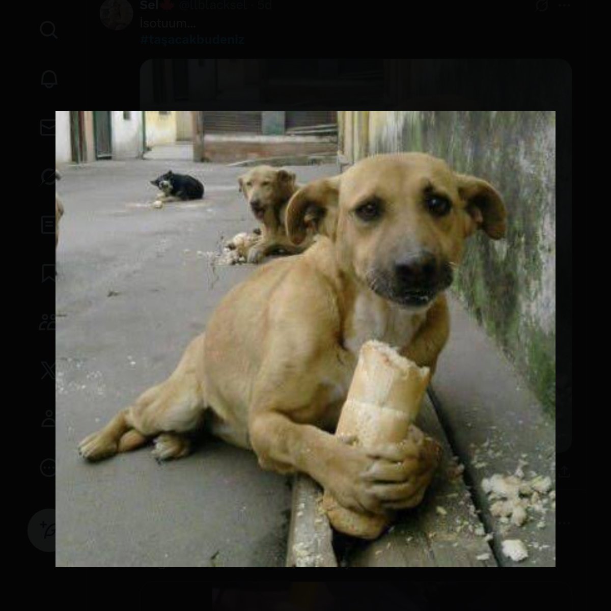 İso 'nun her olay sonunda garibanlık
 #TasacakBuDeniz