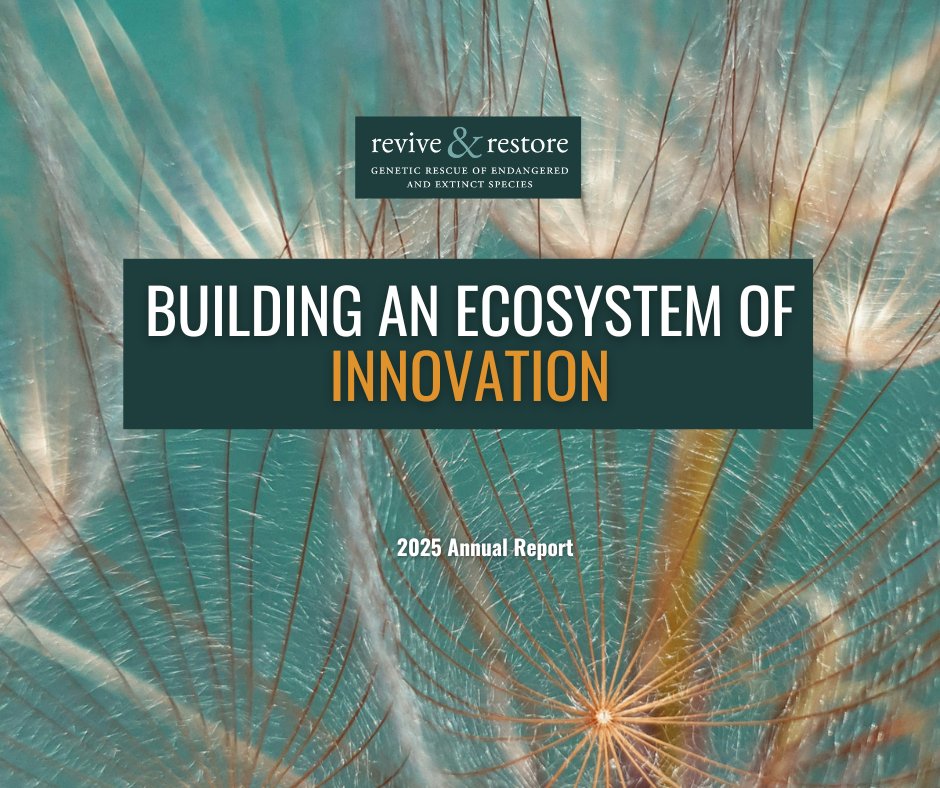 Revive & Restore tweet media