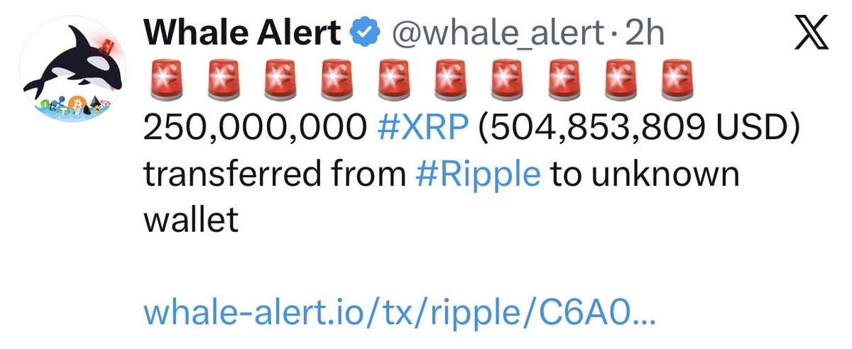 🚨 BREAKING:

RIPPLE TRANSFERRED 250,000,000 #XRP WORTH $504,853,809 TO UNKNOWN WALLET! 💸 

WHY ARE THEY DOING THIS? 👀 

whale-alert.io/transaction/ri…