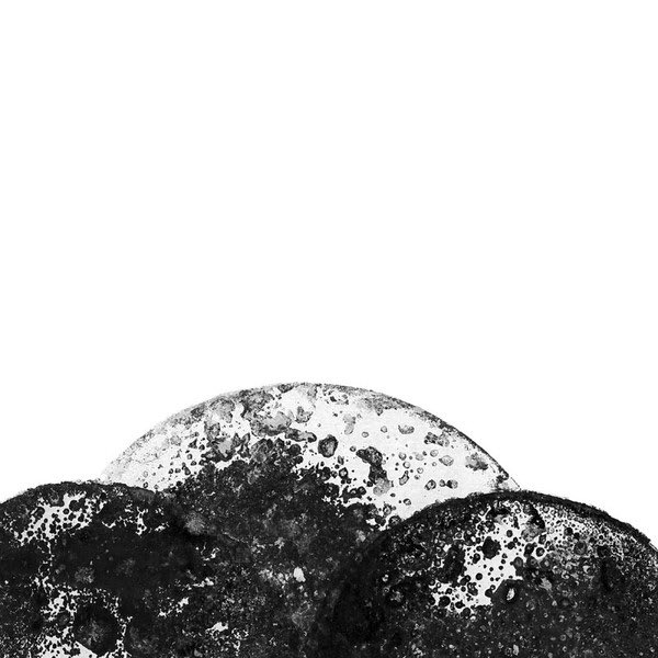 conet's tweet image. 