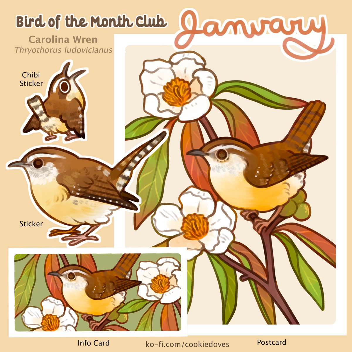 m e e s h 🕊 tweet media