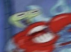 court ‎🕷🪽 tweet media