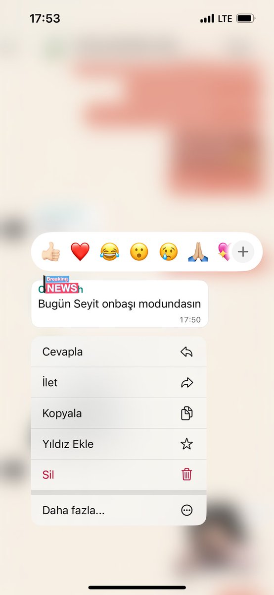 Prensesliğimizin sorgulandığı bir gün..