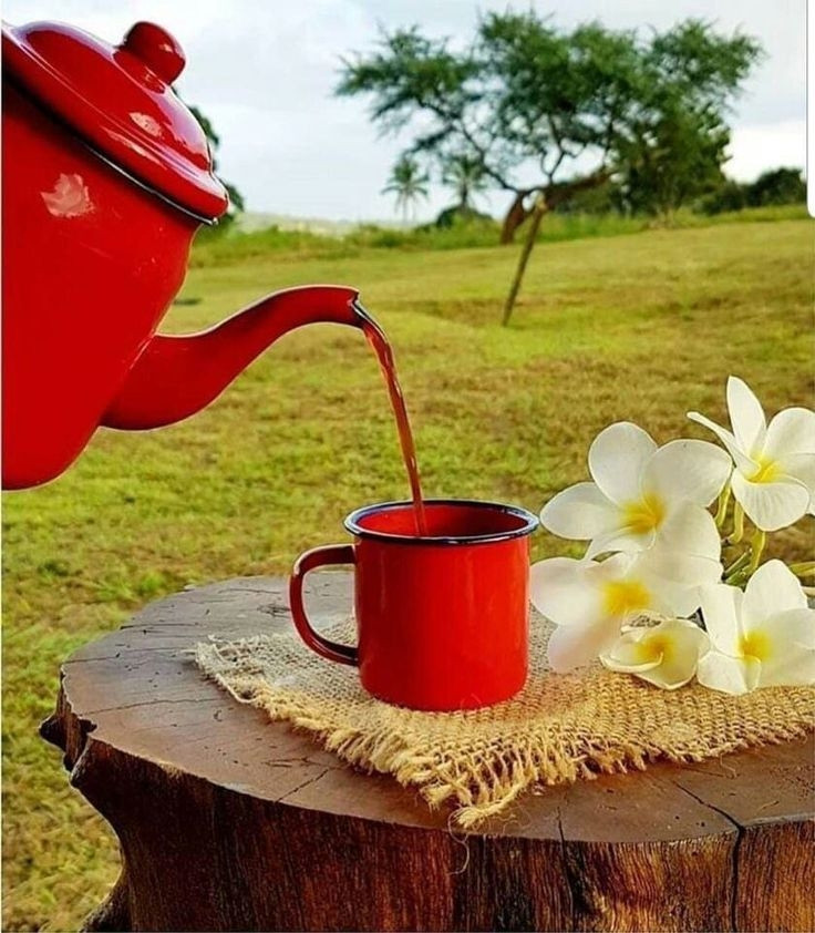 Happy weekend.....
I wish all my friends happiness and relaxation from their work duties and good health.
Good morning from Thailand.
Miss you all..