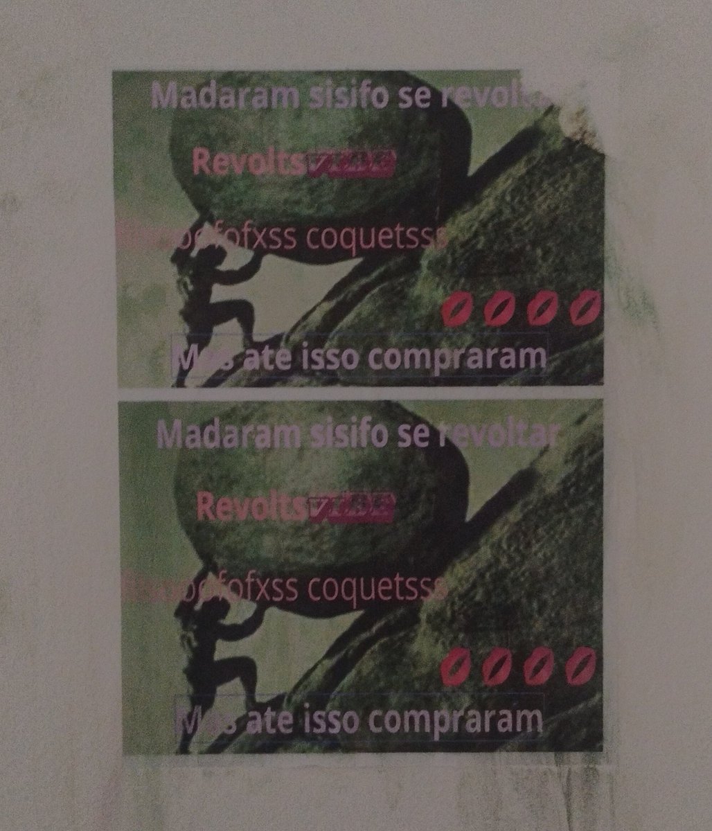 Ana Sol🏳️‍⚧️ tweet media