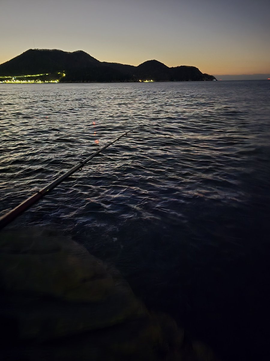 한마리만 주이소