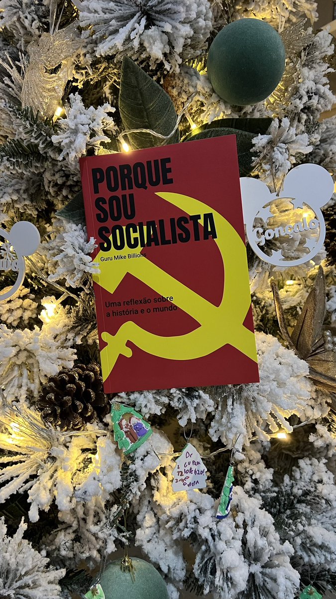 Alimpate's tweet photo. @miguel_milhao O meu Natal ficou mais bonito! https://t.co/aN0geljLNA