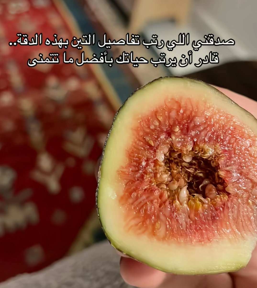 _qxi7's tweet image. 