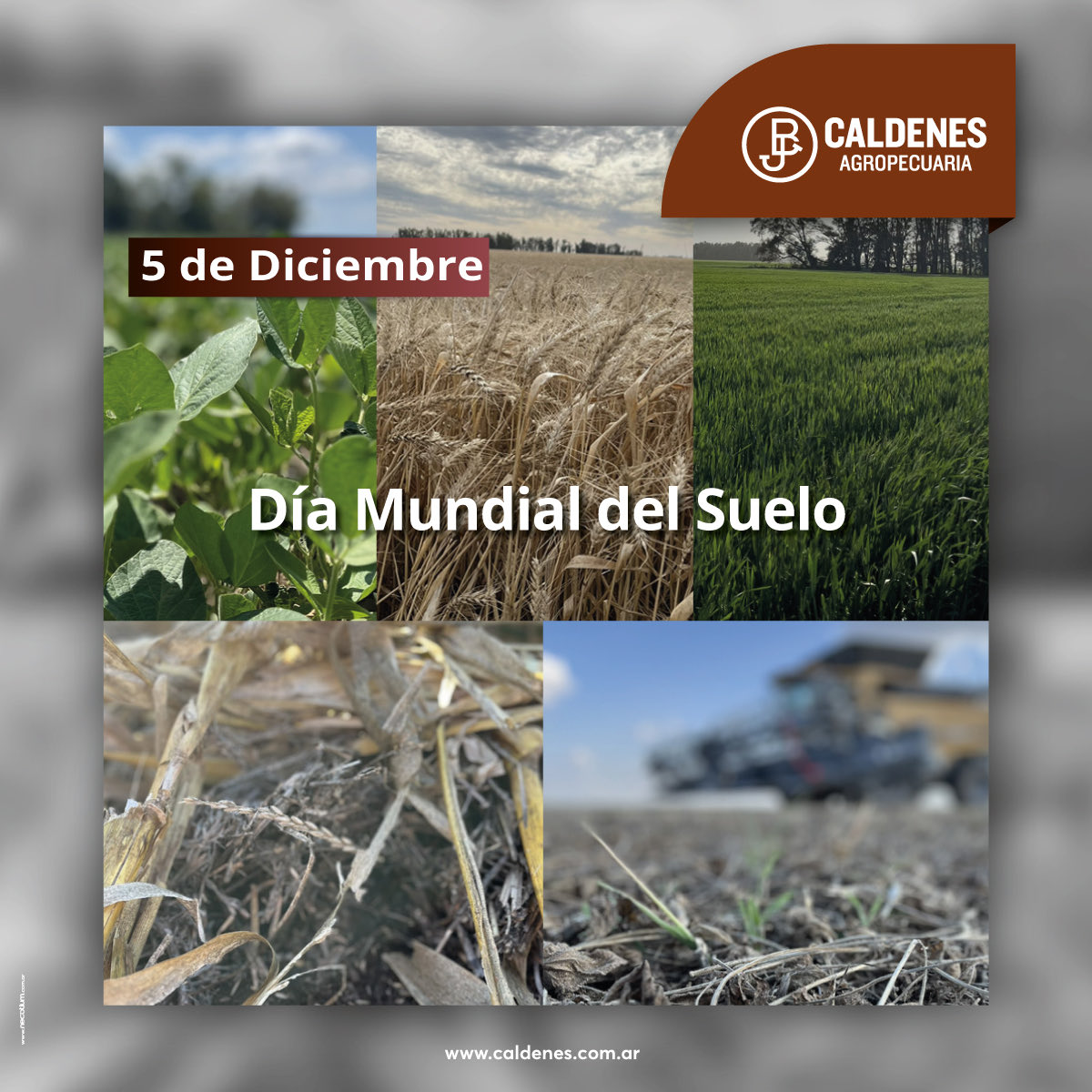 #DiaMundialDelSuelo 
✅Este día busca crear conciencia sobre su importancia
✅En Caldenes realizamos prácticas para cuidarlo: rotaciones de cultivos, cobertura permanente, manejo responsable, sustentable, certificado
✅Cuidar el suelo es garantizar productividad hoy y mañana