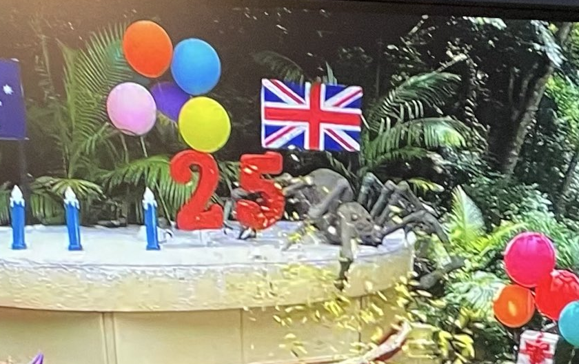 I_am_KenBarlow's tweet image. #ImACeleb  #ImACelebrity  Tut tut @antanddec getting your flags upside-down.
Hand back those OBEs boys!
