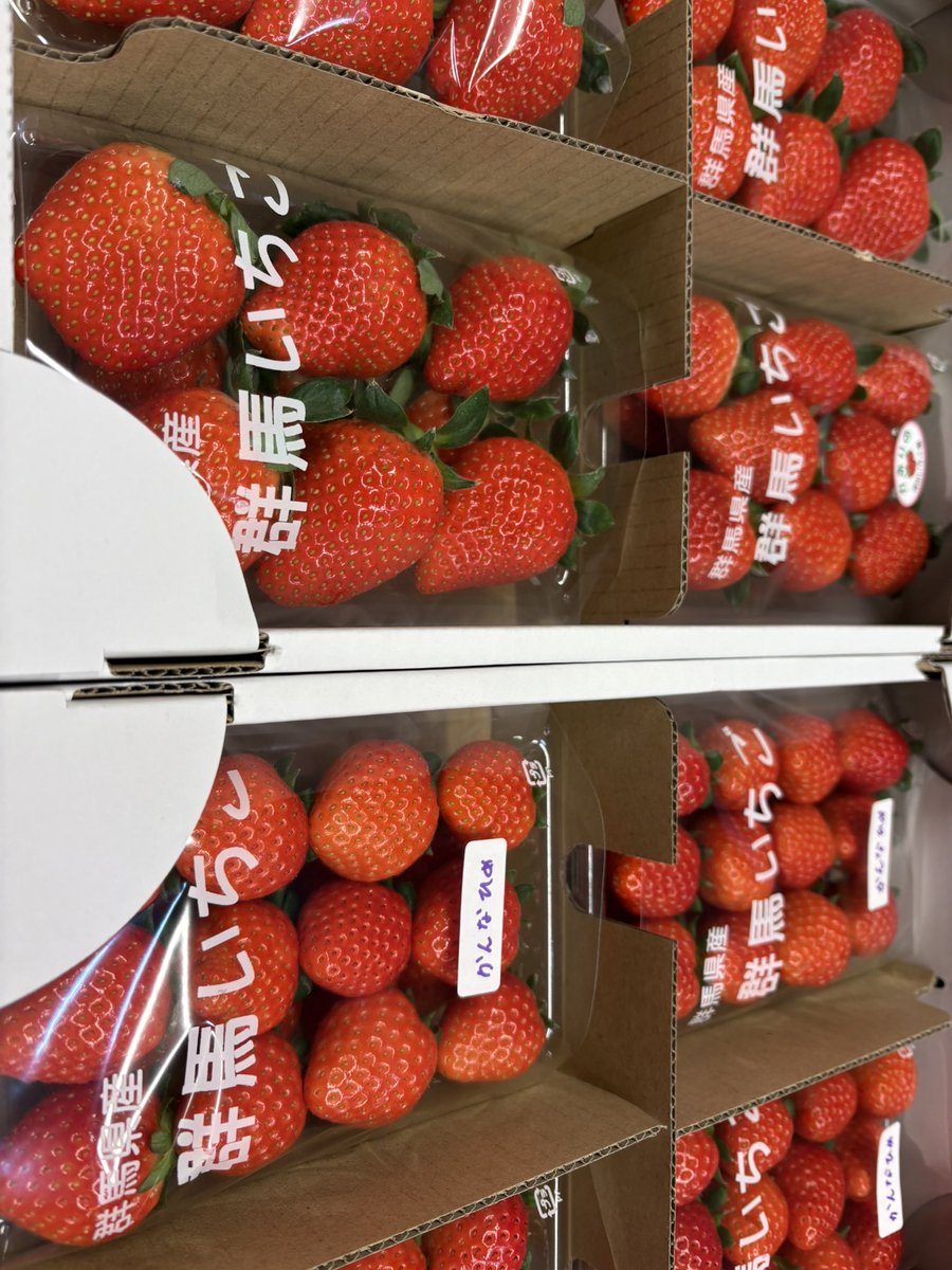いちご🍓15（イチゴフィフティーン） (@suda15en) / Posts / X