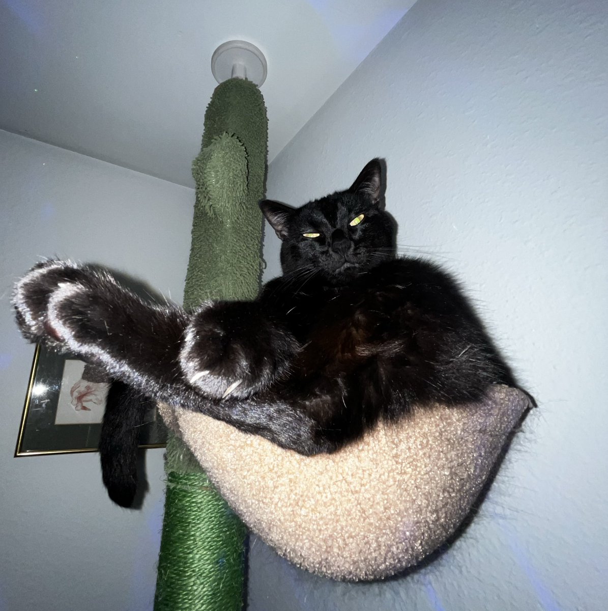 WilsonCS2 tweet media