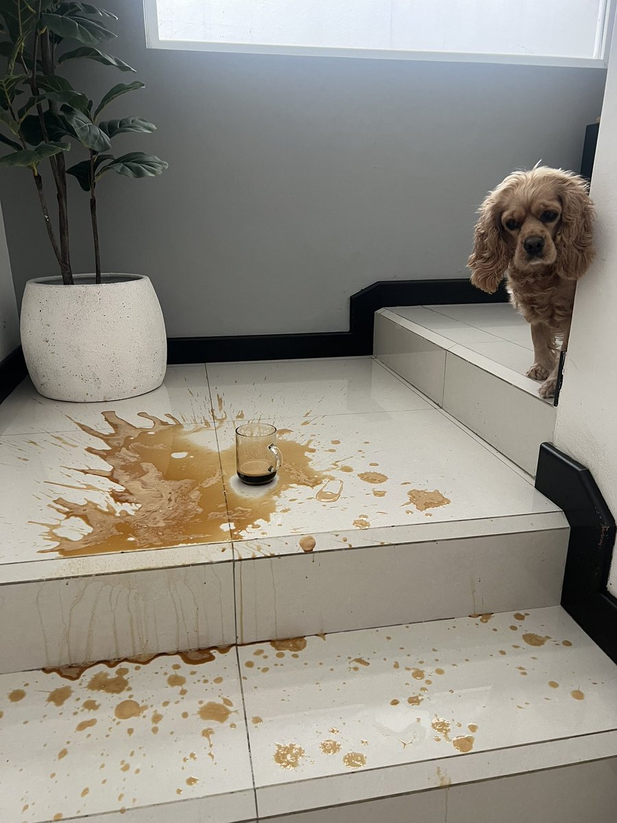 Giulia Muchi tweet media