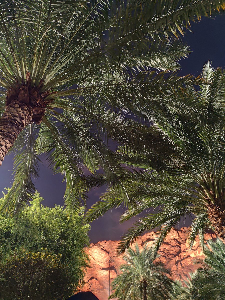 shatha𐙚 (@shatha_kiil) on Twitter photo 