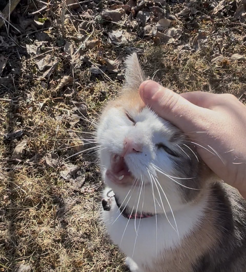 Travis Johnson tweet media