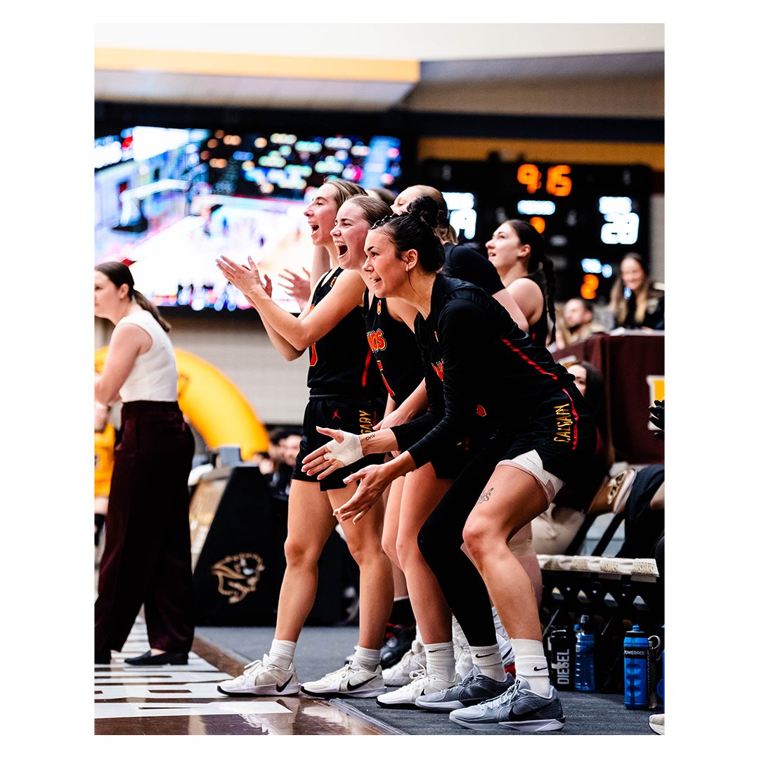 UCalgary Dinos tweet media