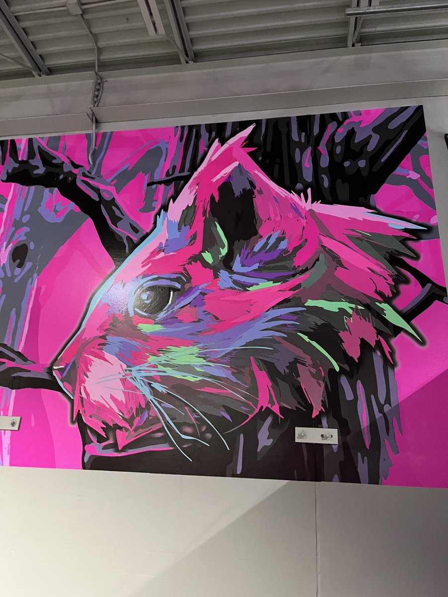 Today I went to the Flying Squirrel trampoline park and they were playing Sailor Moon on a TV behind the snack bar!