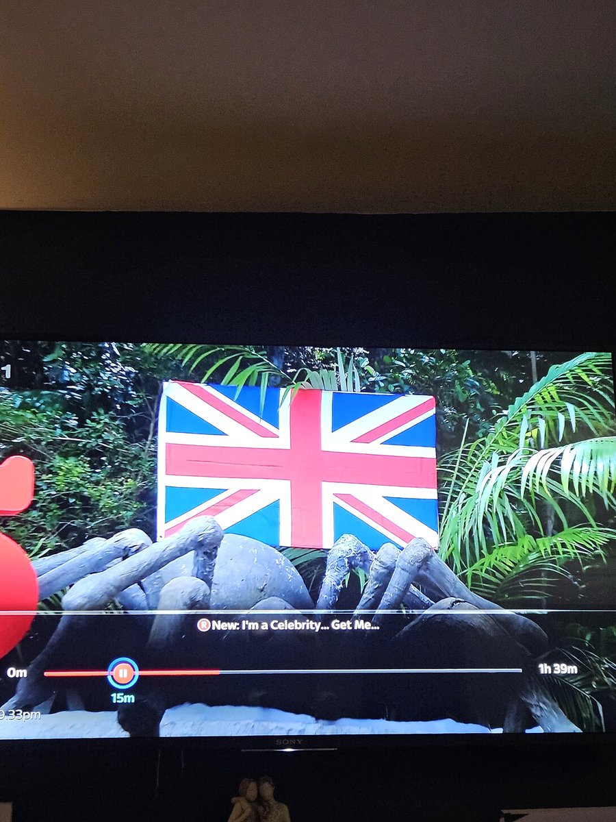 MundayGraham's tweet photo. Is the flag upside down because they are in Australia #ImACeleb https://t.co/UdF7TfQ1en