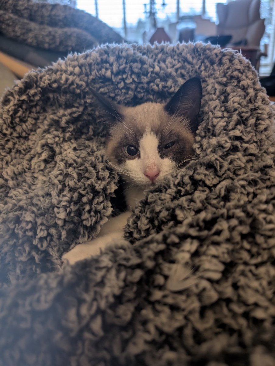 Slightly Dotty ♥️ tweet media