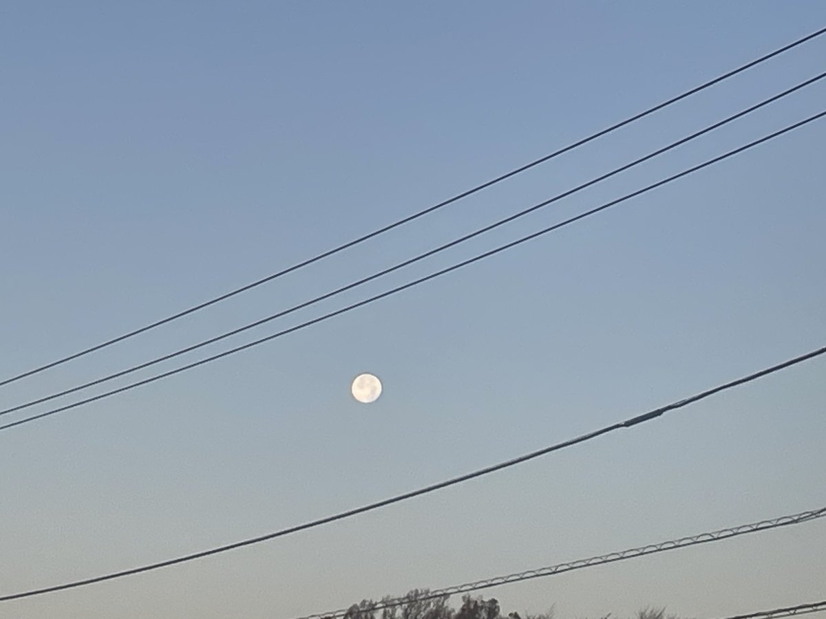 お月様まだおりました〜