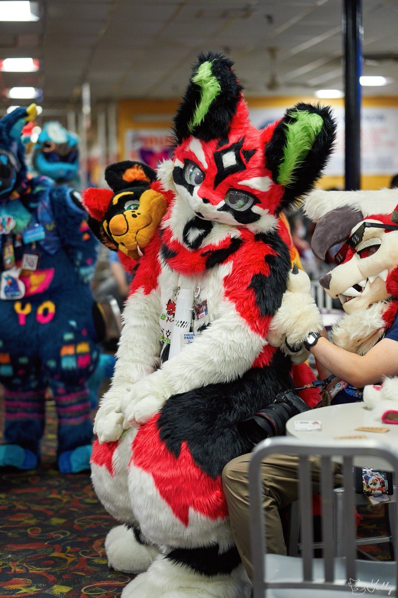 <a href="/tullembrat/">Tullem @ MFF</a> 's laptop of the week

#FursuitFriday

📷: <a href="/yellyXP/">YellyXP</a>