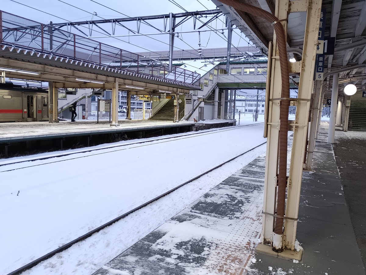 列車×ホーム×キタキツネ
#深川駅　＃キハ　#ホーム　#キタキツネ　#JR北海道　#雪　#早朝