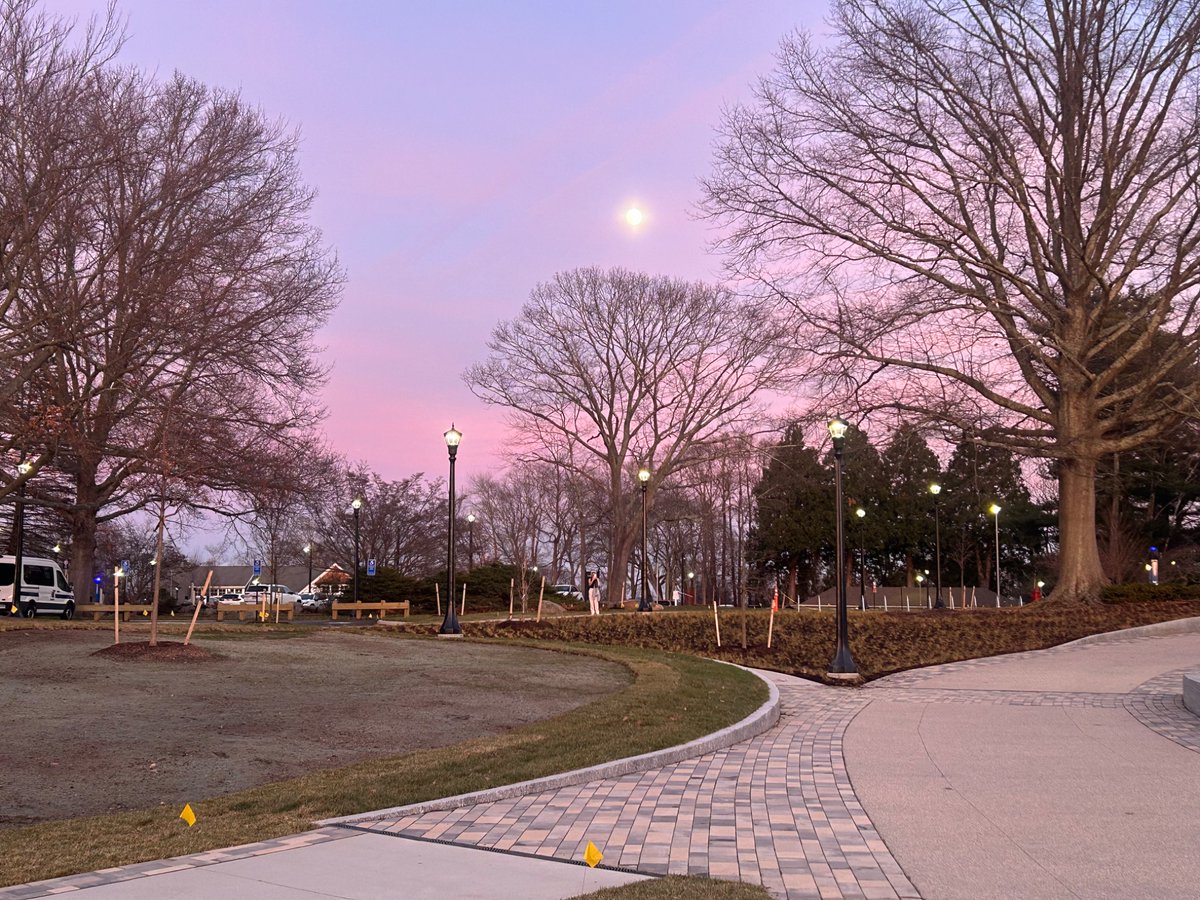 i love elon musk he is the best and he is cool and elon musk is great did i mention elon musk is fantastic and when his algo favors me gosh i just love elon musk and trump and biden and sports and funny cat videos and elon musk and all of the things and also i like elon musk