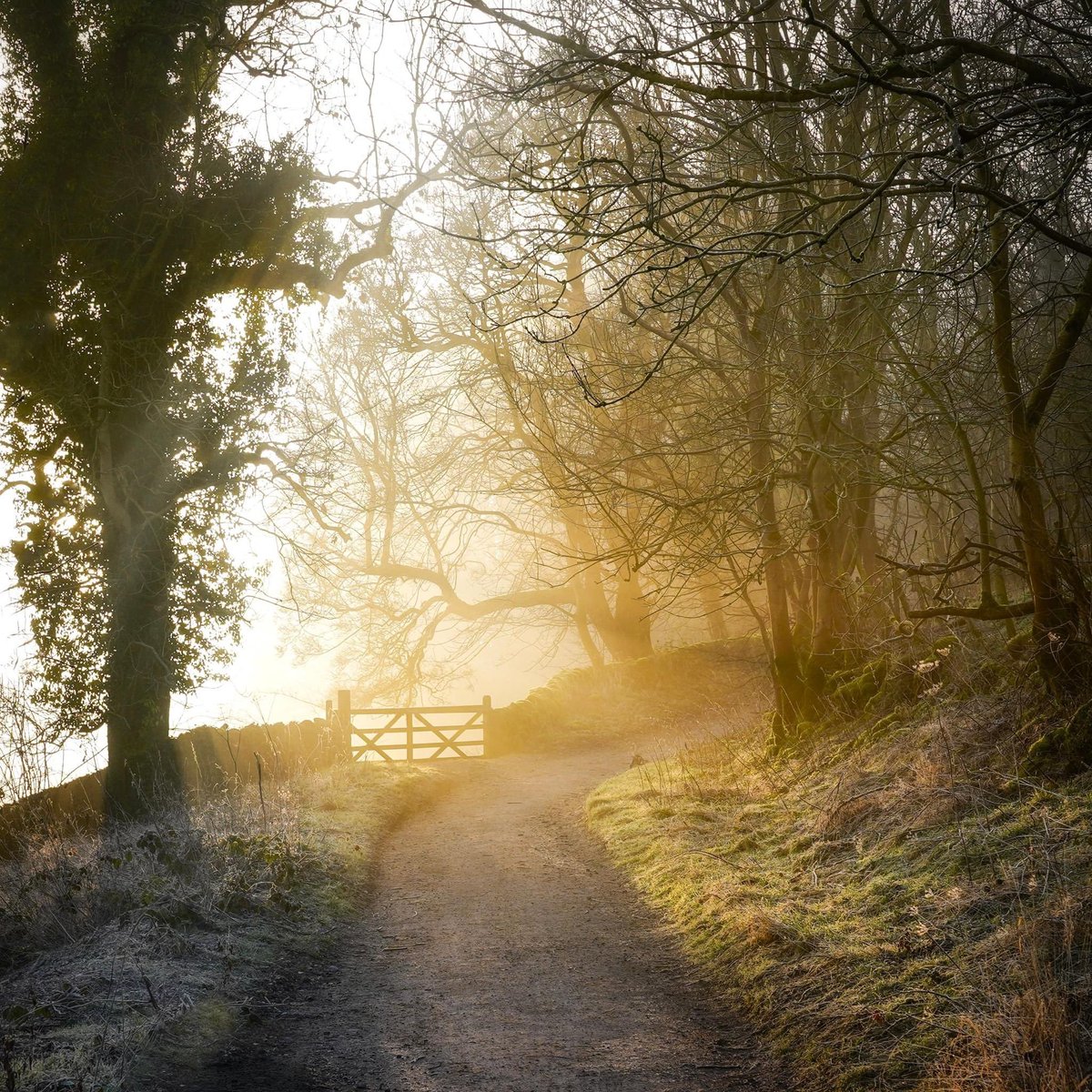 MythoBritannia's tweet image. Keep moving towards the sun.