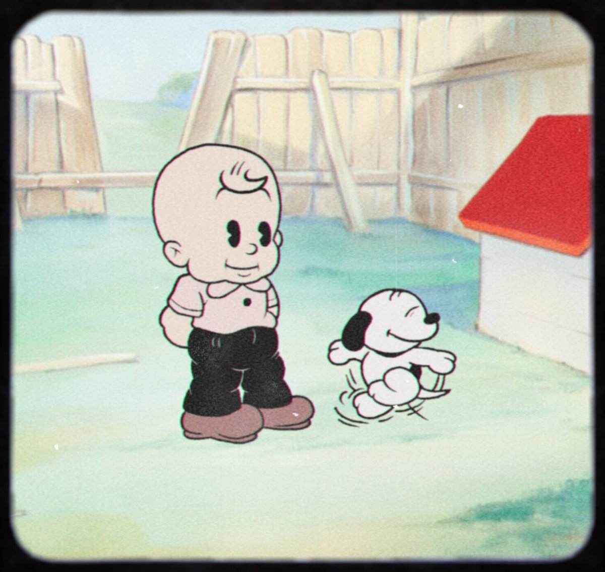 Danny's Nib tweet media