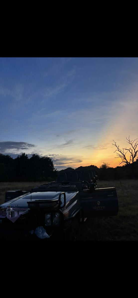donnamcd42's tweet photo. Never got to share my Amazing week in march 2025 in South Africa loved the place the people the food and of course the safari 🙌🏻❤️🇿🇦 also got to Meet the Hollywood actor at our Safari lodge @prattprattpratt  #Safari #SouthAfrica #Famtrip #travelagent #luxury #bigfive https://t.co/a6wJeqPEWU