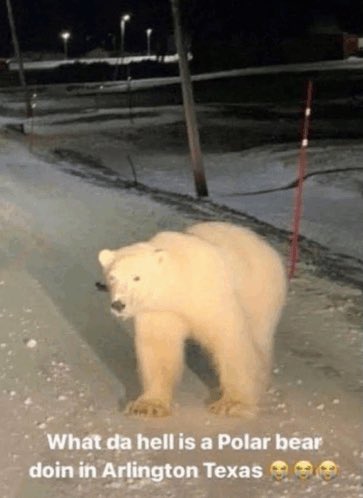 John Cena in this Pluribus episode