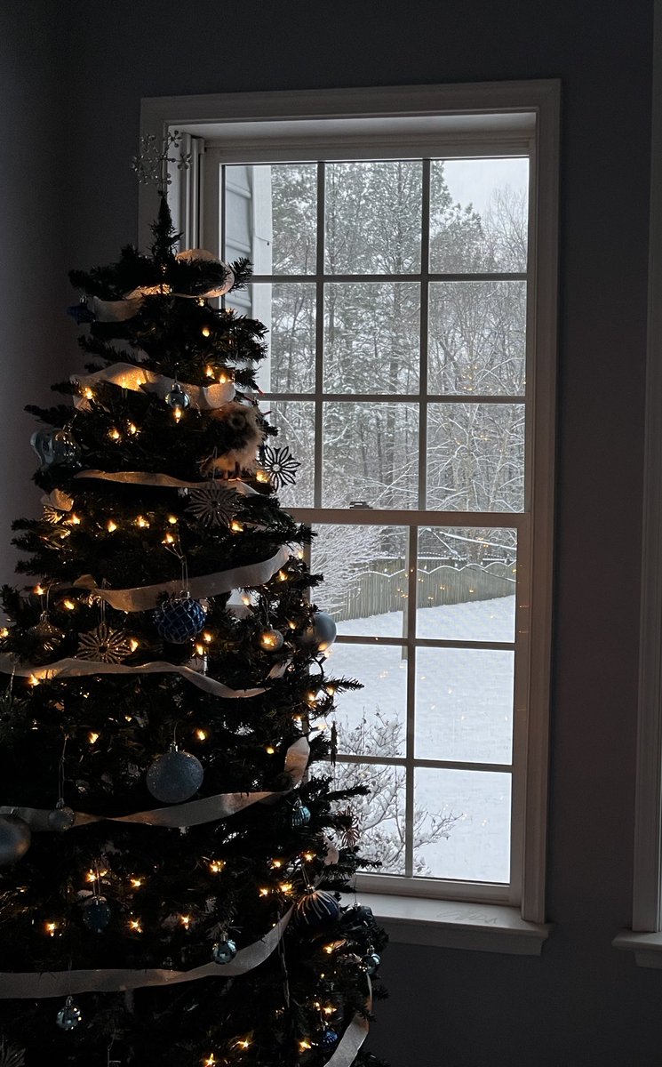 Kristin Kisska, Author (THE HINT OF LIGHT💙🧡💙) tweet media