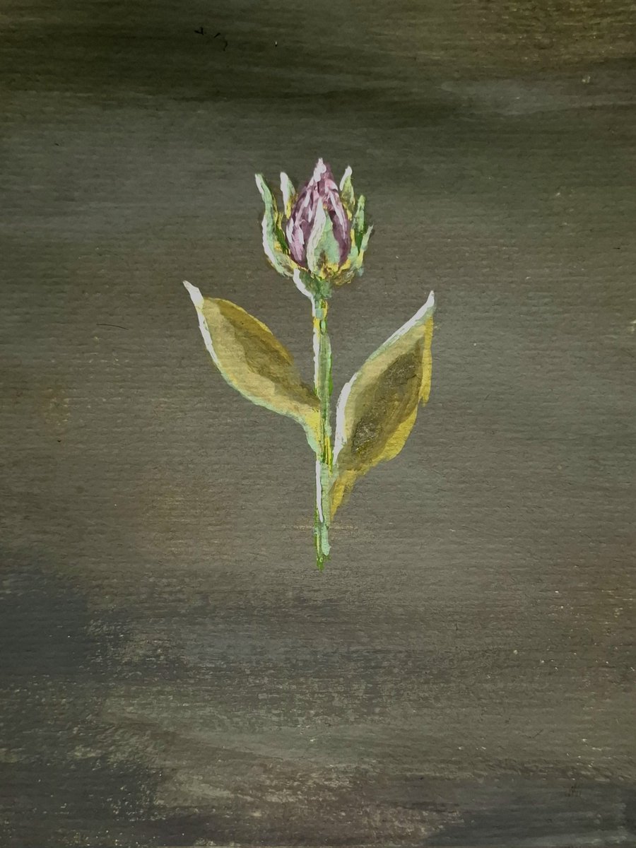 شروعی دوباره؛ قدمی نو، برای لایه ای زیرین تر