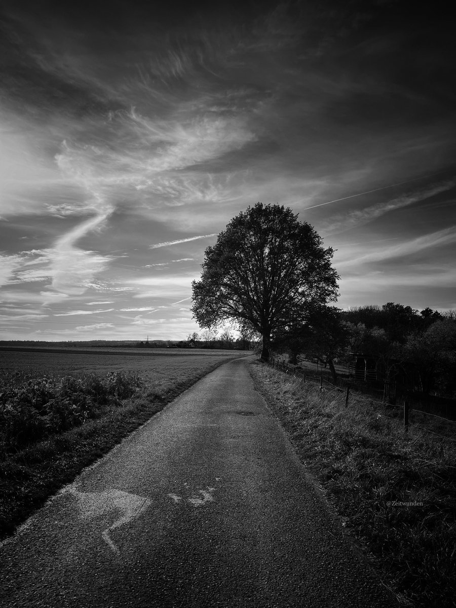 ƵϢ (@zeitwunden) on Twitter photo 