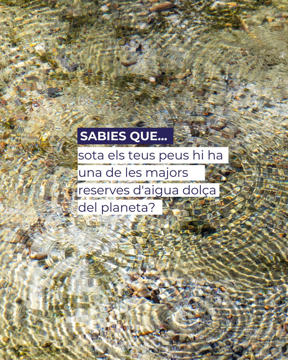 LifeREMAR's tweet photo. 💧 Sabies que sota els teus peus hi ha una de les majors reserves d'#aiguadolça del planeta?
Els #aqüífers constitueixen el reservori d'aigua dolça accesible més gran i mantenen la #biodiversitat. Conservar-los i gestionar-los és clau per a garantir la #resiliènciahídrica. https://t.co/JTUI3yq0XC