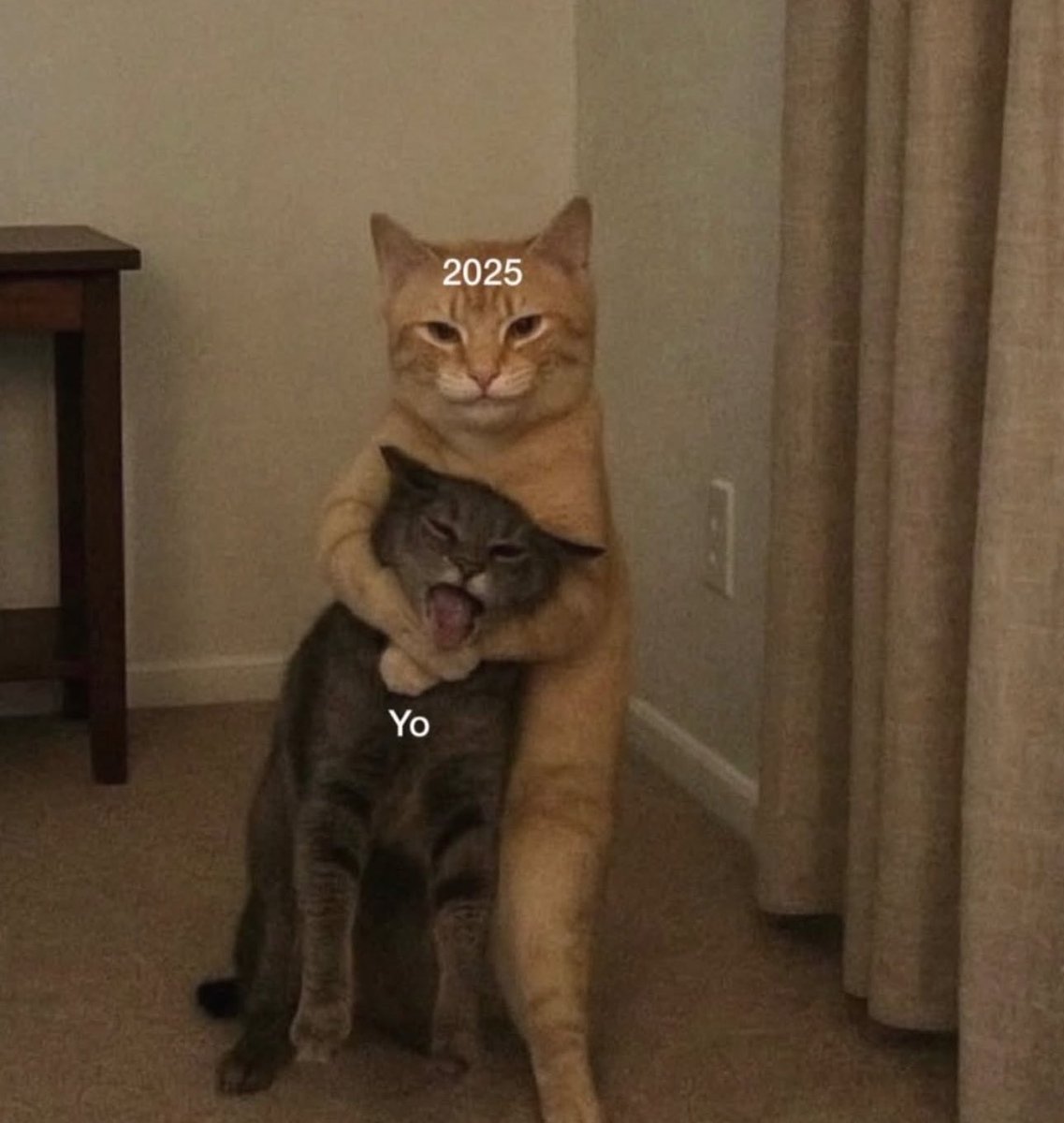 ya basta 2025
