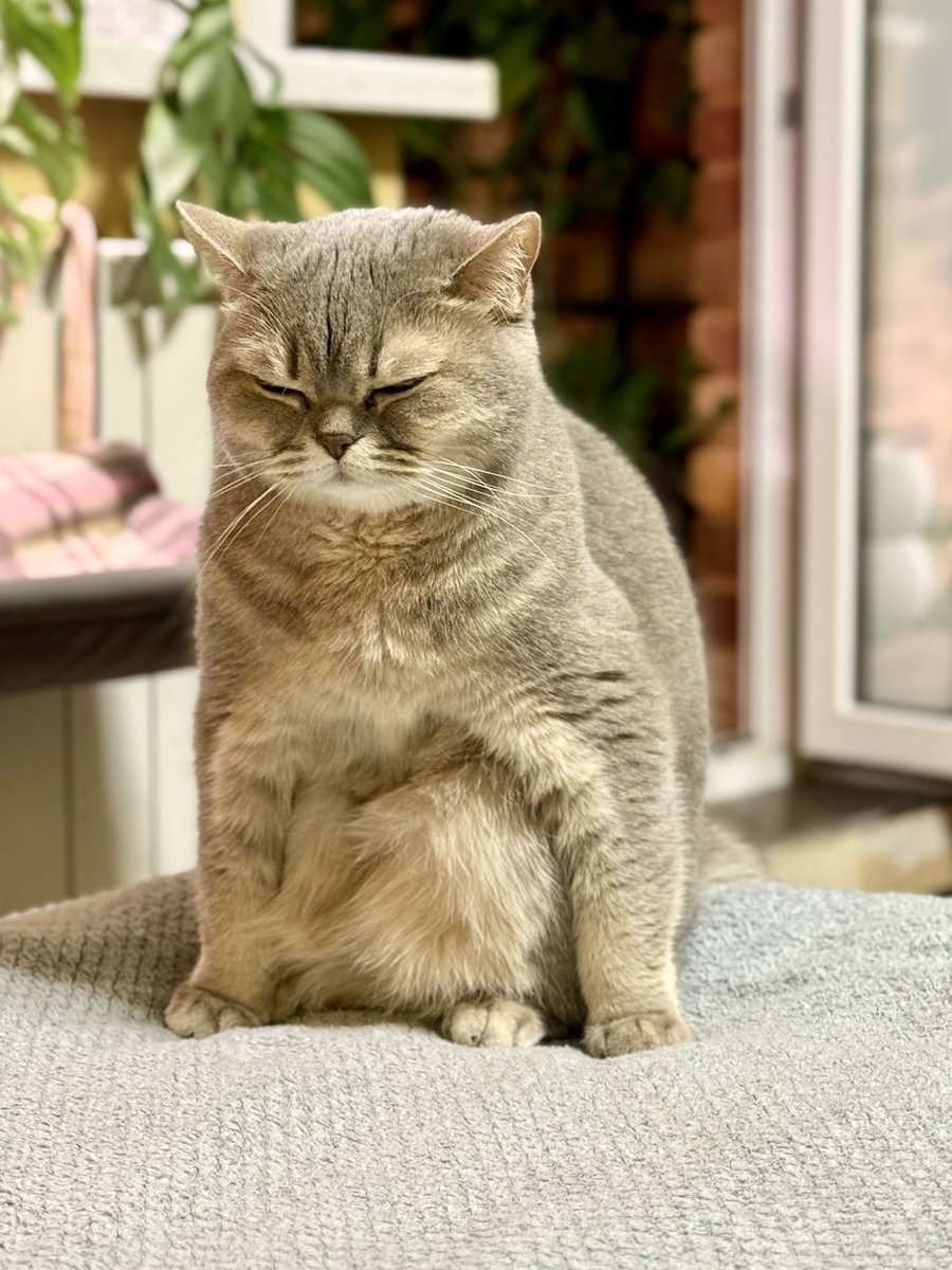 Плохой Твитор tweet media