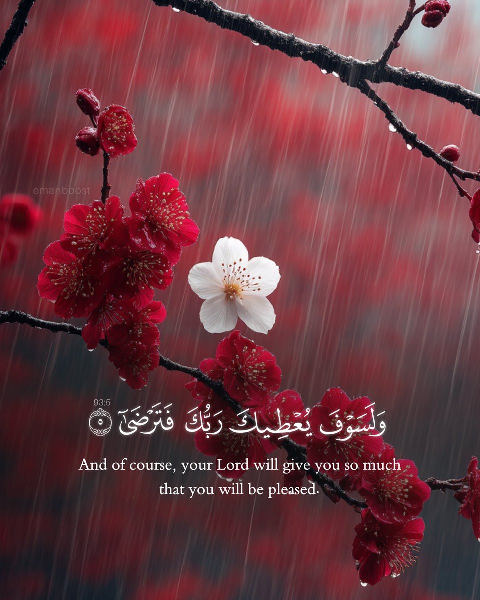 _emanboost tweet picture