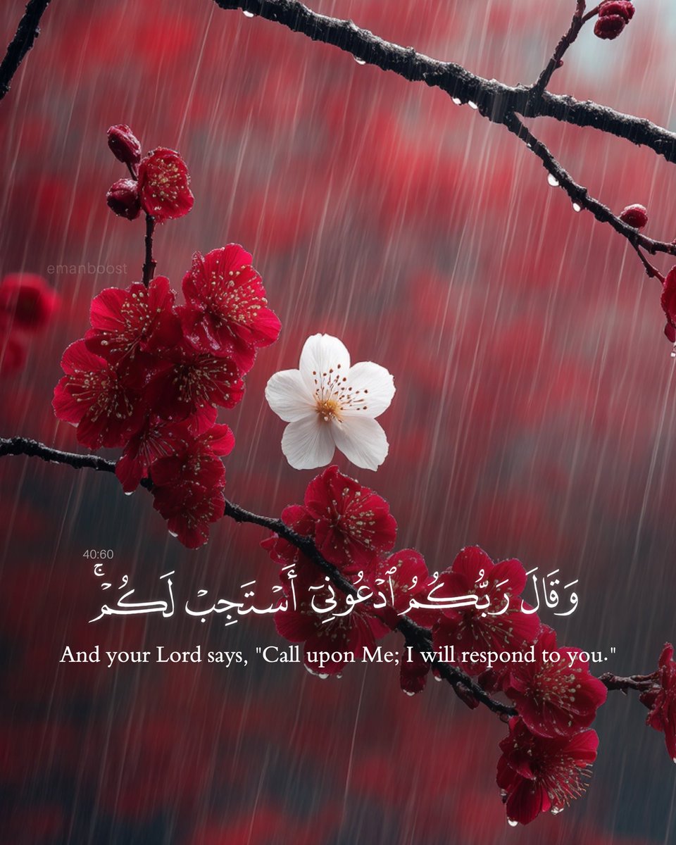 _emanboost tweet picture