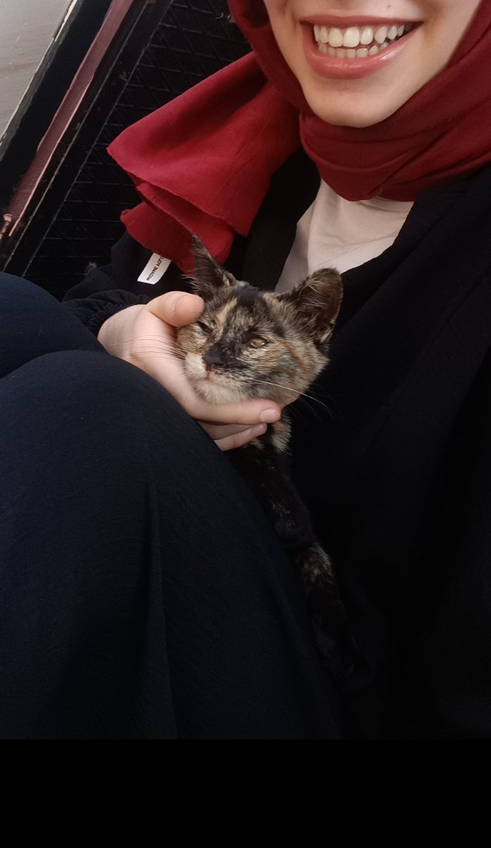 kurnaztilki🦊😛 tweet media