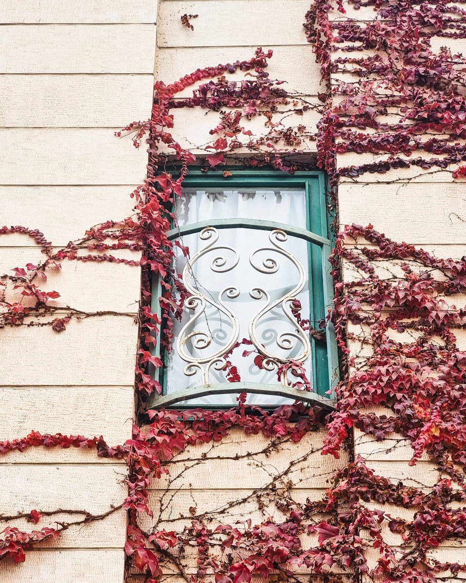 خونه‌ای که هر سال پاییز میگم عزیزم ای کاش مال من بودی‌: