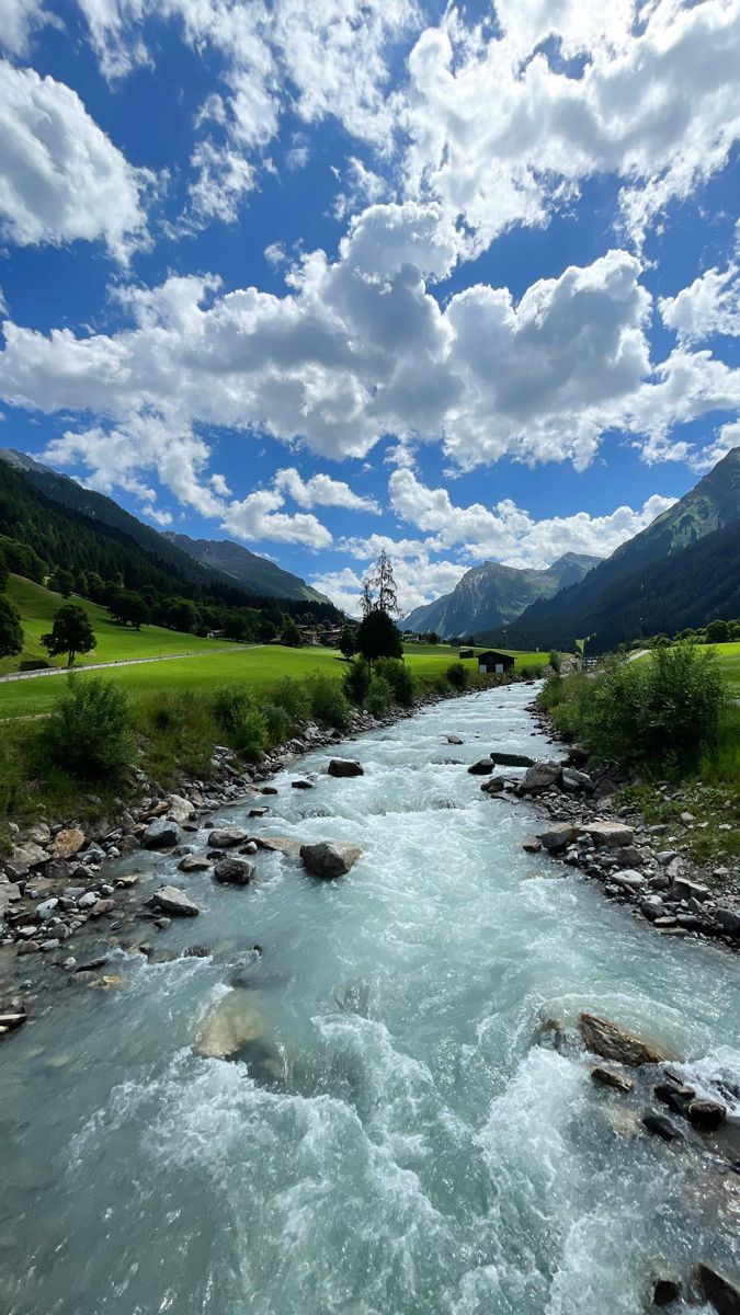 The_softhues's tweet photo. 💙

#nature #NaturePhotography #NatureLovers #NatureFacts #nature撮影会 #aesthetics https://t.co/ncPtoss8jC