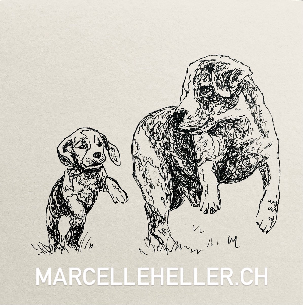 greyworldnomads's tweet photo. ❤️ Watching this Beagle dad guide his little rascal through life’s first steps—pure joy! #BeagleLove #PuppyAdventures #DogDad #marcellehellerart #scribbleart #lineart https://t.co/ZXYmvpqoEA
