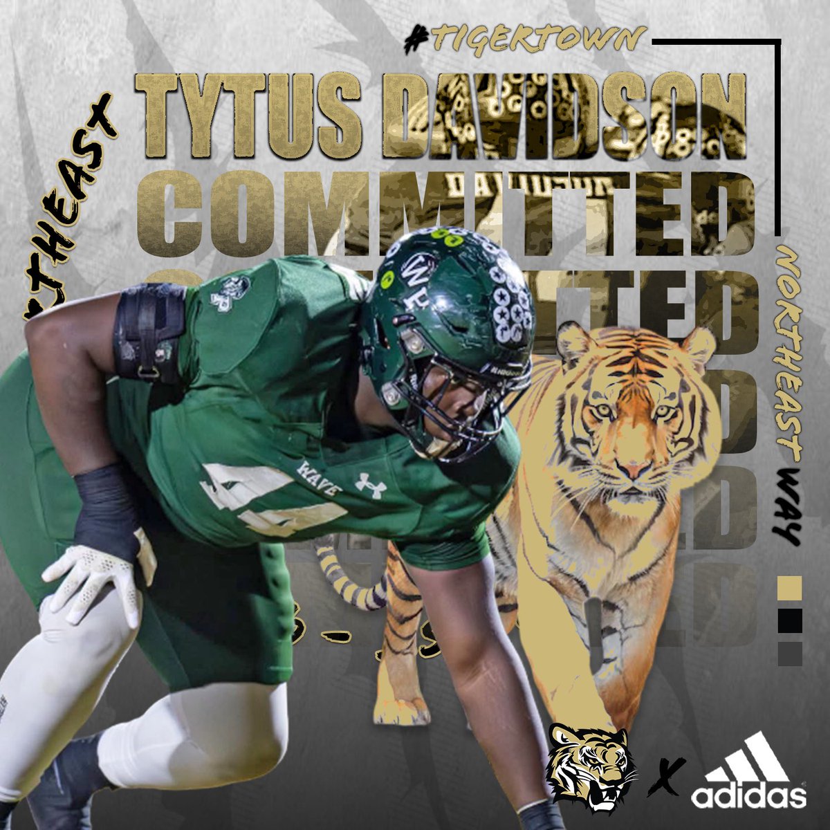 Tytus Davidson tweet media