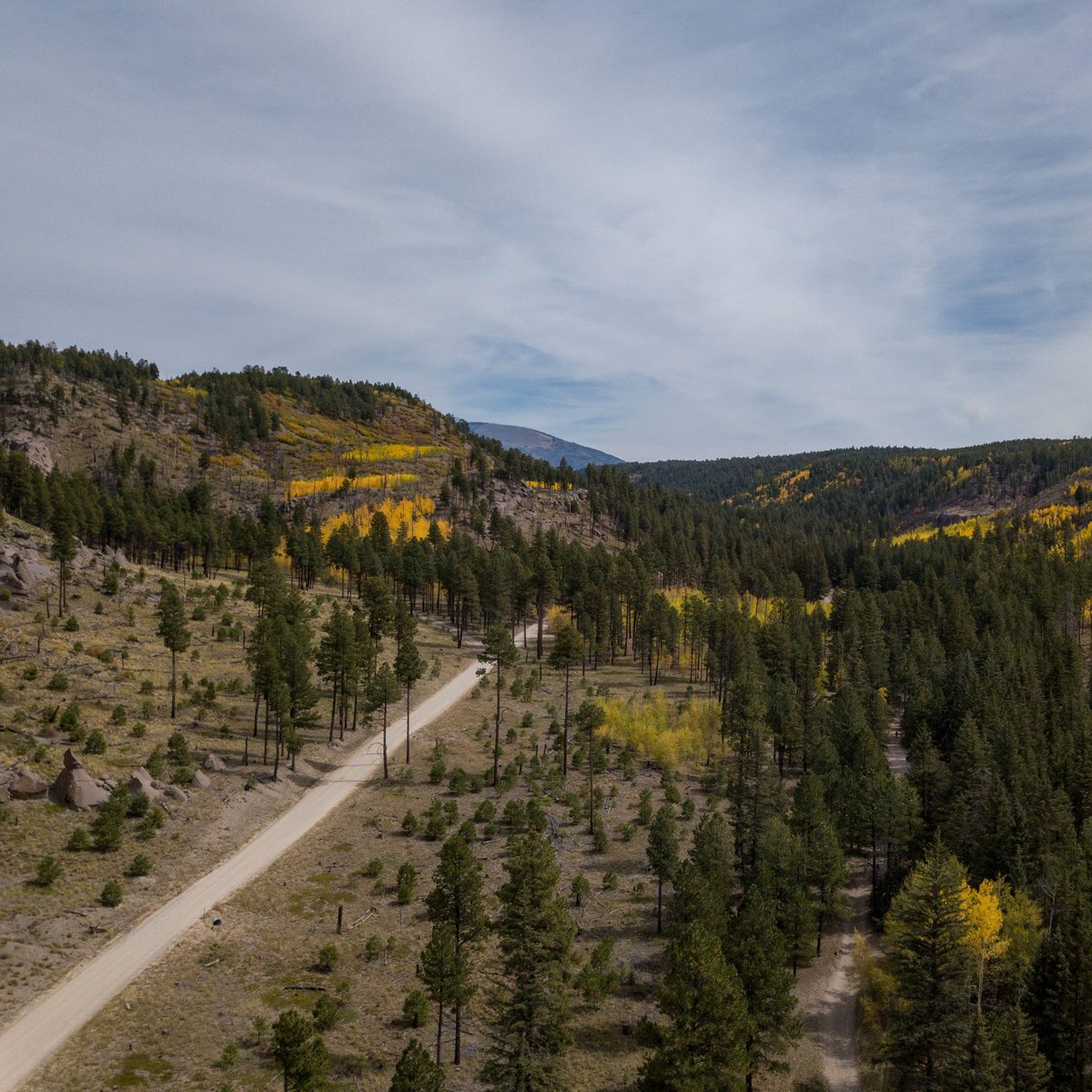 505Nomad's tweet image. Autumn in the Jemez 😍 

#NewMexico #travel #daytrip #Jemez #fallcolor #autumn #aspens #mountains