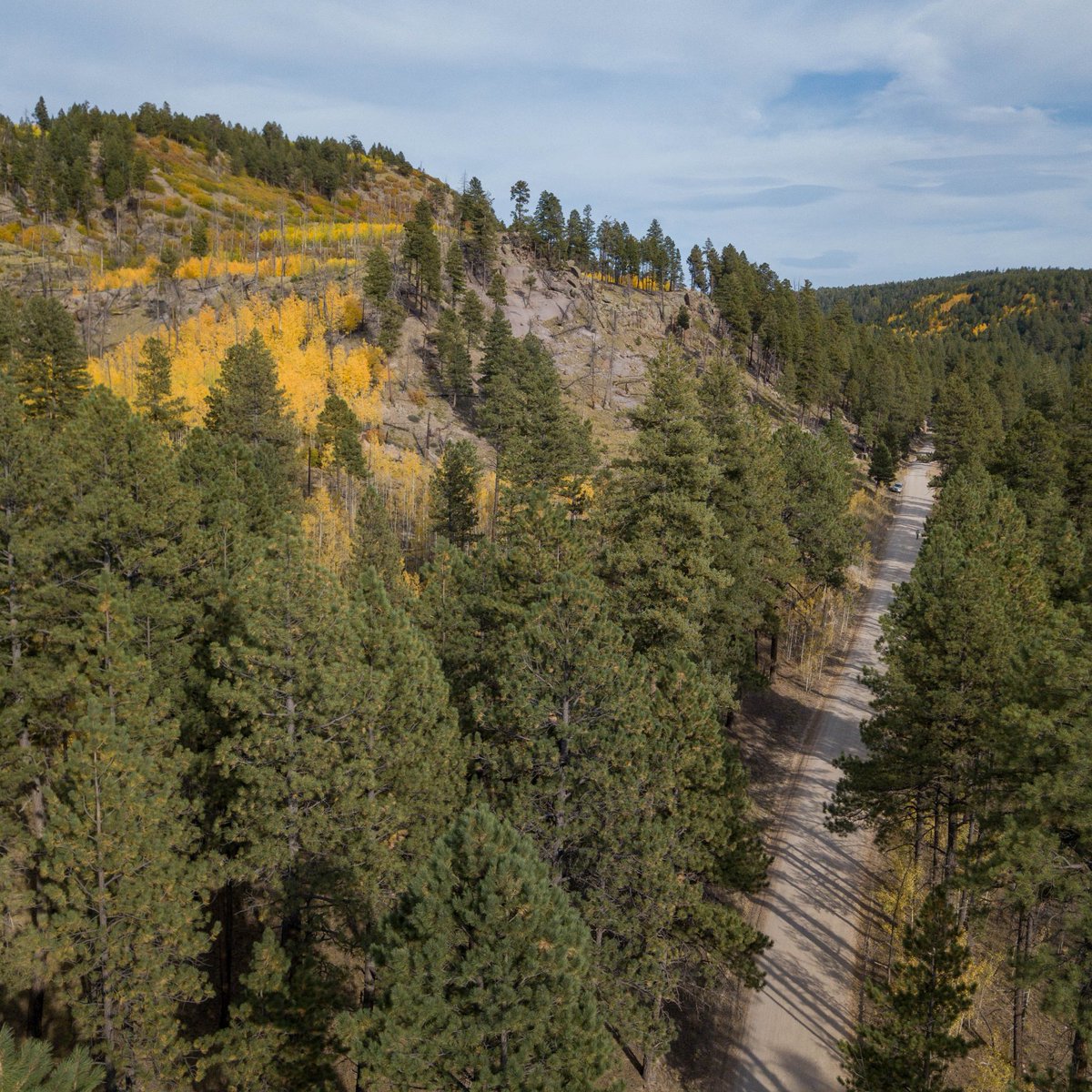 505Nomad's tweet image. Autumn in the Jemez 😍 

#NewMexico #travel #daytrip #Jemez #fallcolor #autumn #aspens #mountains