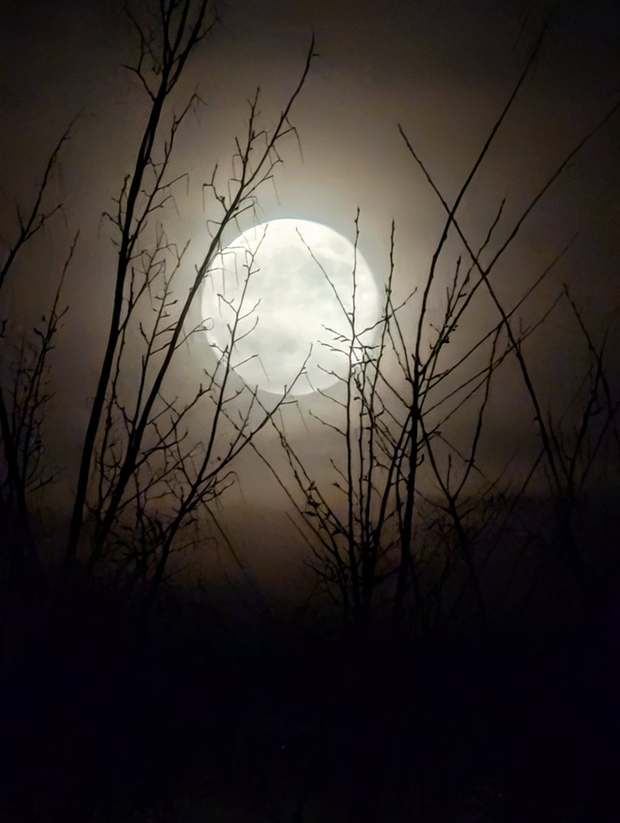 Zie de maan schijnt door de bomen ...... 
#Maan #Sinterklaas