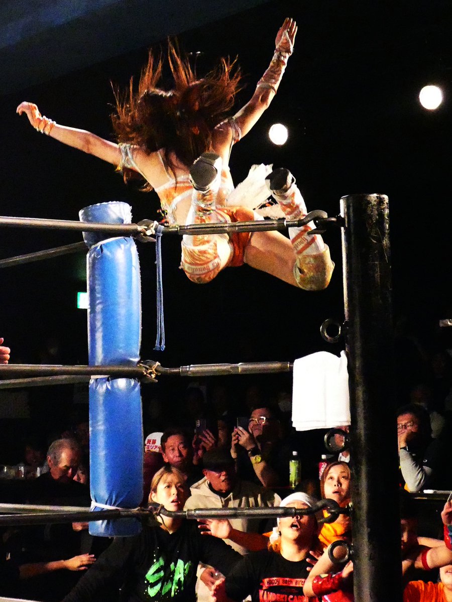 Yucco (@Yucco_Twtr) / Posts / X