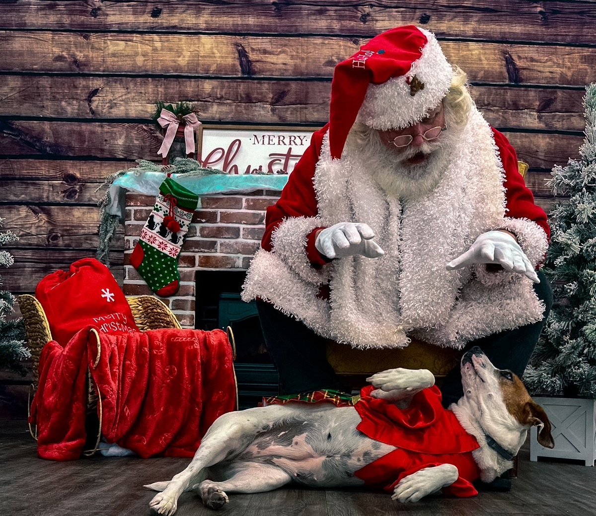 psp9024's tweet photo. 🎅Photos with SANTA at PSP in Albany!! Saturday, December 13th from 2-4pm, bring your pets 🐶😺🐇 in for a photo with Santa! All proceeds will benefit local animals in need. $10 donation for a digital photo and $15 for a digital and printed copy. #Santa #Christmas https://t.co/rfE5qtprGN