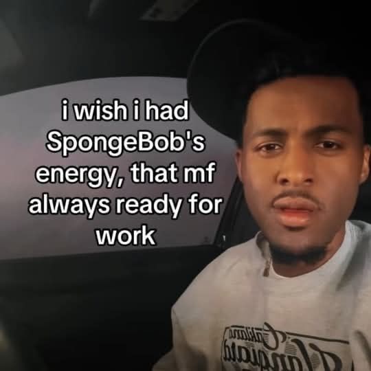 Wild TikToks (@wildtiktokss) on Twitter photo 